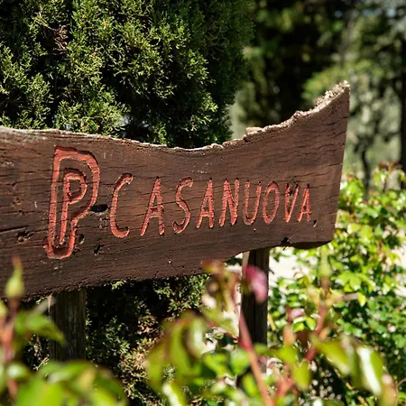 Farm stay Nittardi Castellina in Chianti